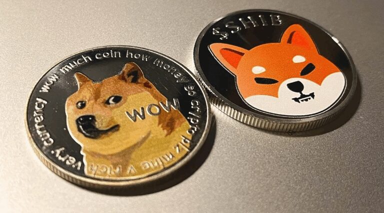 Dogecoin, Shiba Inu, or Snorter? Discover the Best Meme Coin to Buy Now
