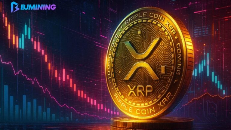 Start Mining BTC with XRP: BJMINING Users Report Daily Profits Over $11,000