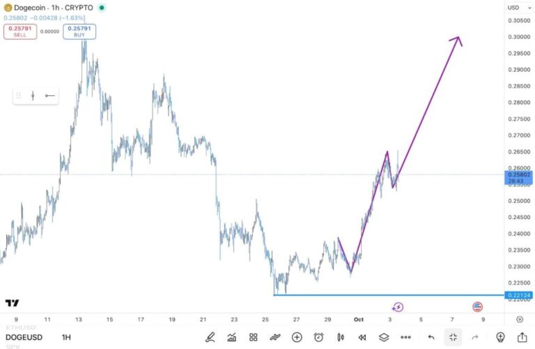 Dogecoin Price Explosion Incoming: DOGE Supercycle Signal Goes Off, Predicts 20000x Rally For This $0.015 Underdog